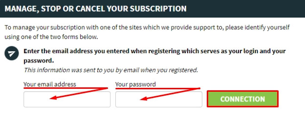 Log in using a password and email